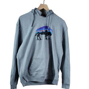 Gray Bison Uprisal Hoodie